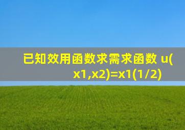 已知效用函数求需求函数 u(x1,x2)=x1(1/2)